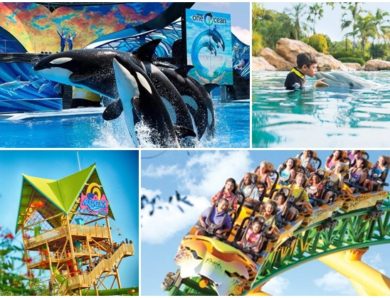 Parques Sea World Entertainment